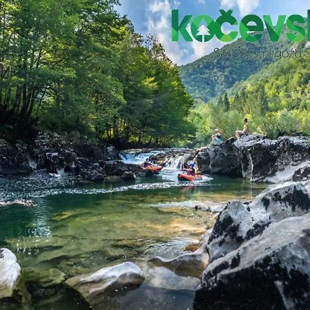 Vikendica Abc Apartma Kocevsko *