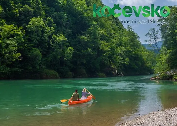 Feriehus Abc Apartma Kocevsko